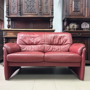 Шкіряний двомісний диван